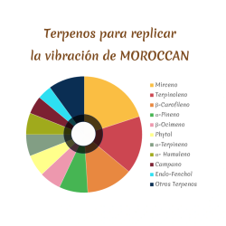 Dahgá NYNCH Moroccan Vaporizador | CBDMP