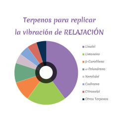 C510 NYNCH Relajación Cartucho | CBDMP