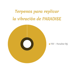 Yerba Paradise Vaporizador | CBDMP