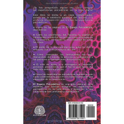 El Espejo Psicodélico | Libro Psicodelia MP